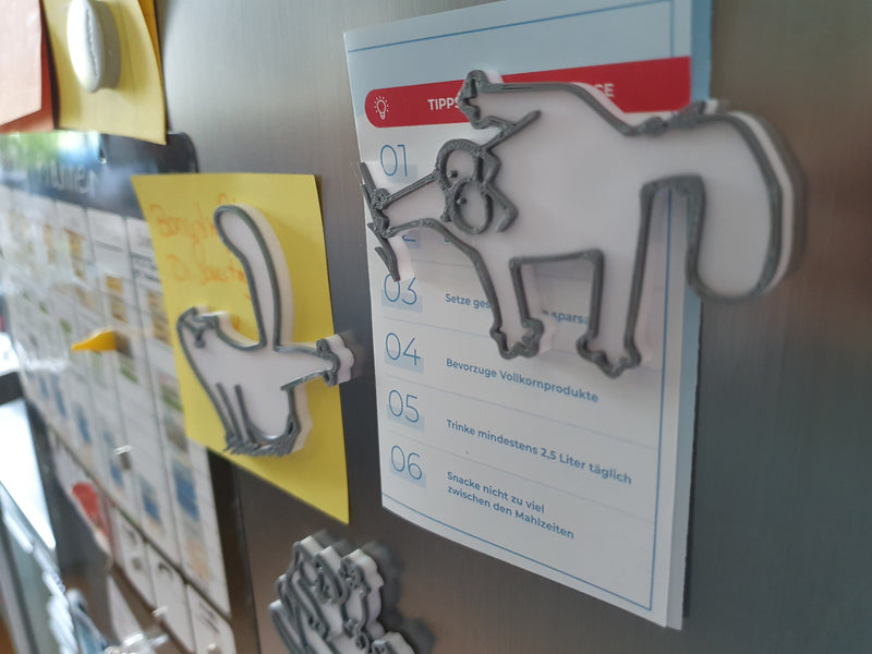 Kühlschrankmagnet Katzenform | Magnet | Geschenk | Pinwand | Organizer